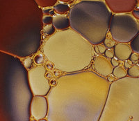 All 9 Essential Amino Acids