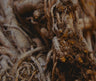 Adaptogens