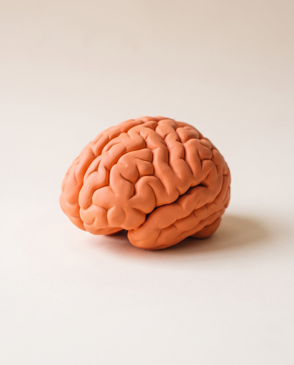 A sculpted brain next to a few gummies