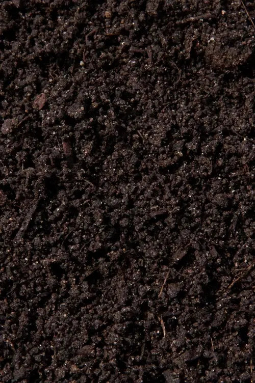 Rich soil on the sustainable Japanese farms the superfoods are grown on